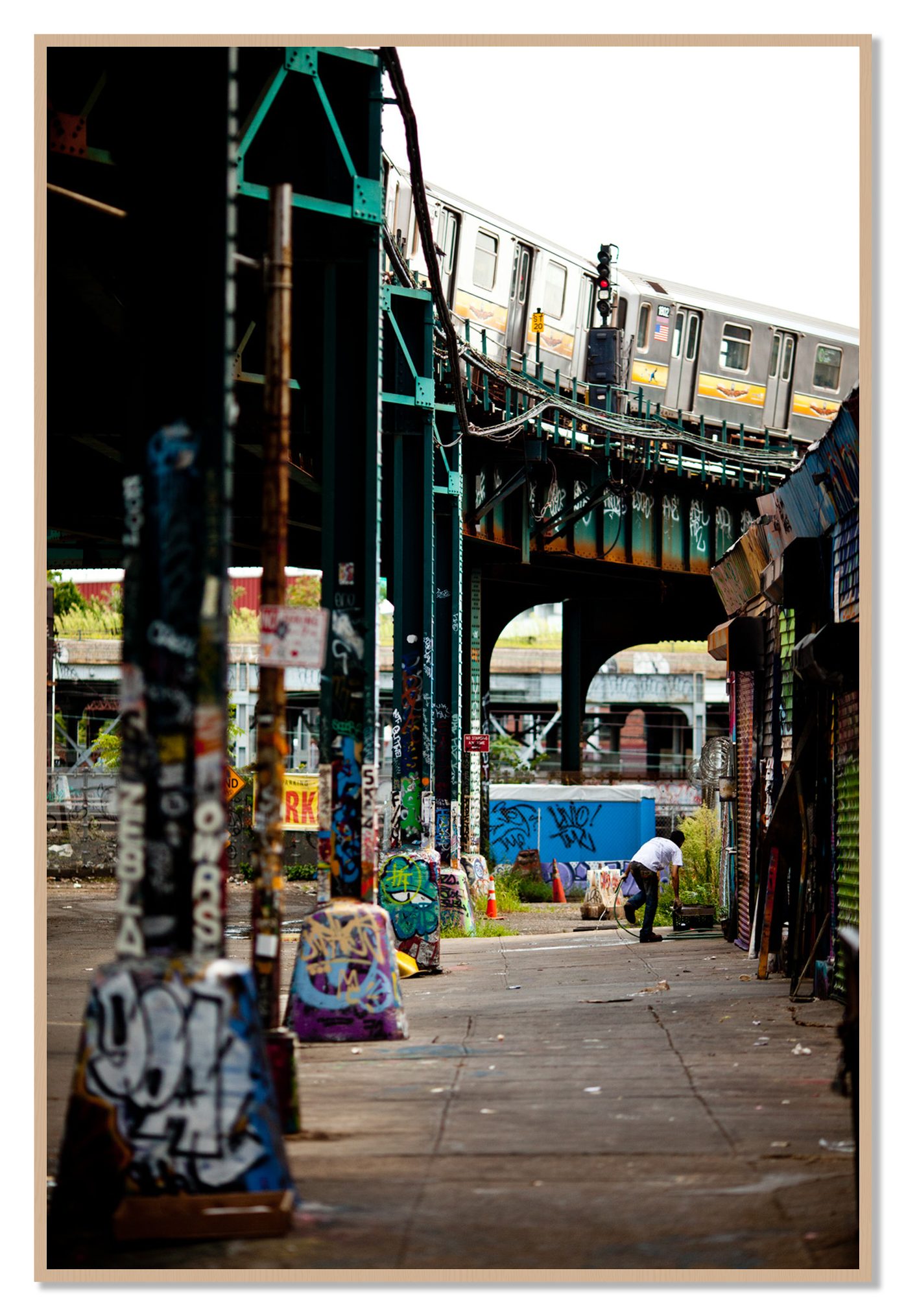 Queens by Dylan Ozanich, 48×72 Full Bleed Print in an Oak frame