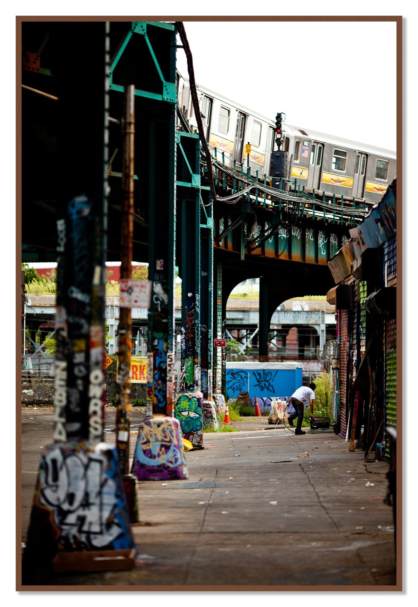 Queens by Dylan Ozanich, 48×72 Full Bleed Print in a Walnut frame