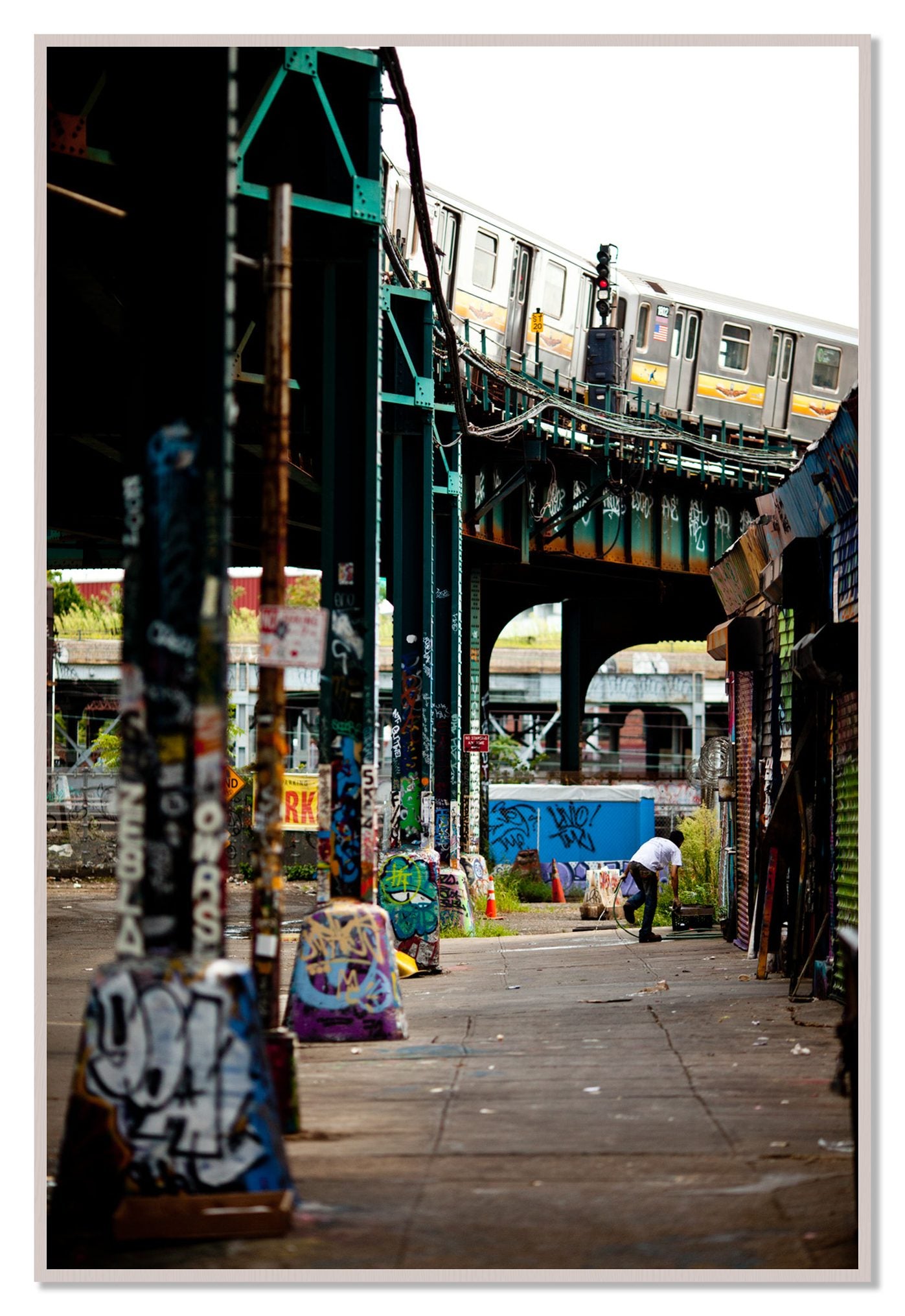Queens by Dylan Ozanich, 48×72 Full Bleed Print in a White Maple frame