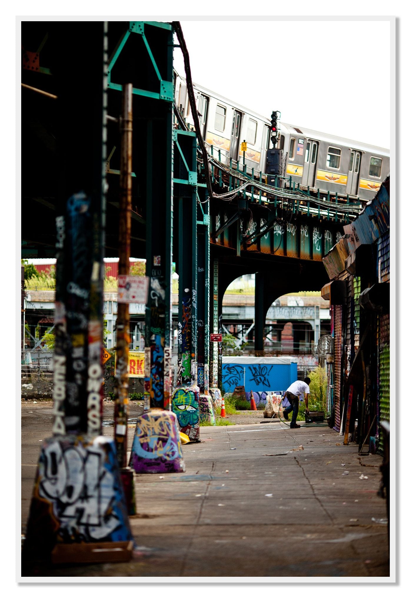 Queens by Dylan Ozanich, 48×72 Full Bleed Print in a White frame