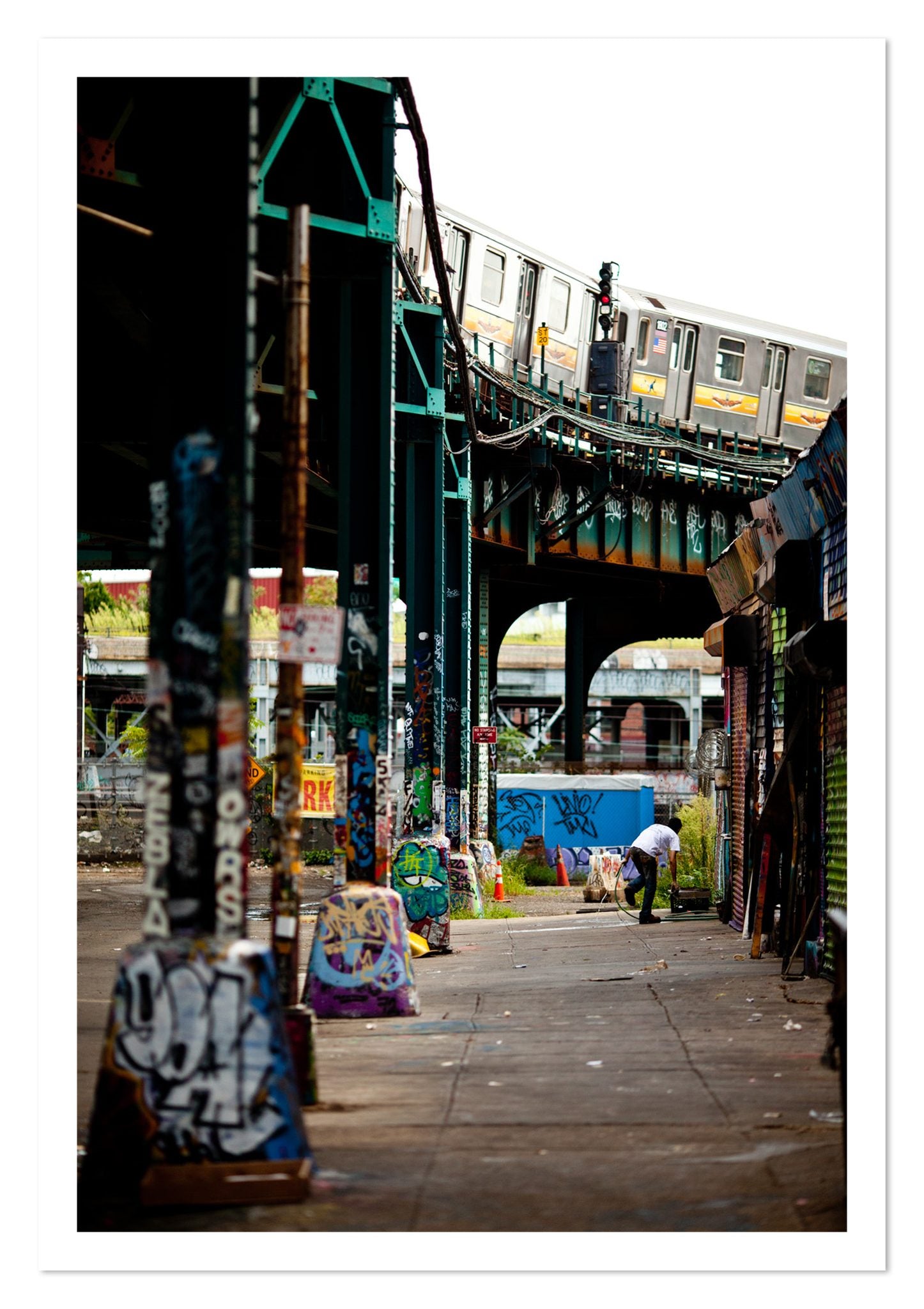 Fine art print of Queens by Dylan Ozanich, unframed