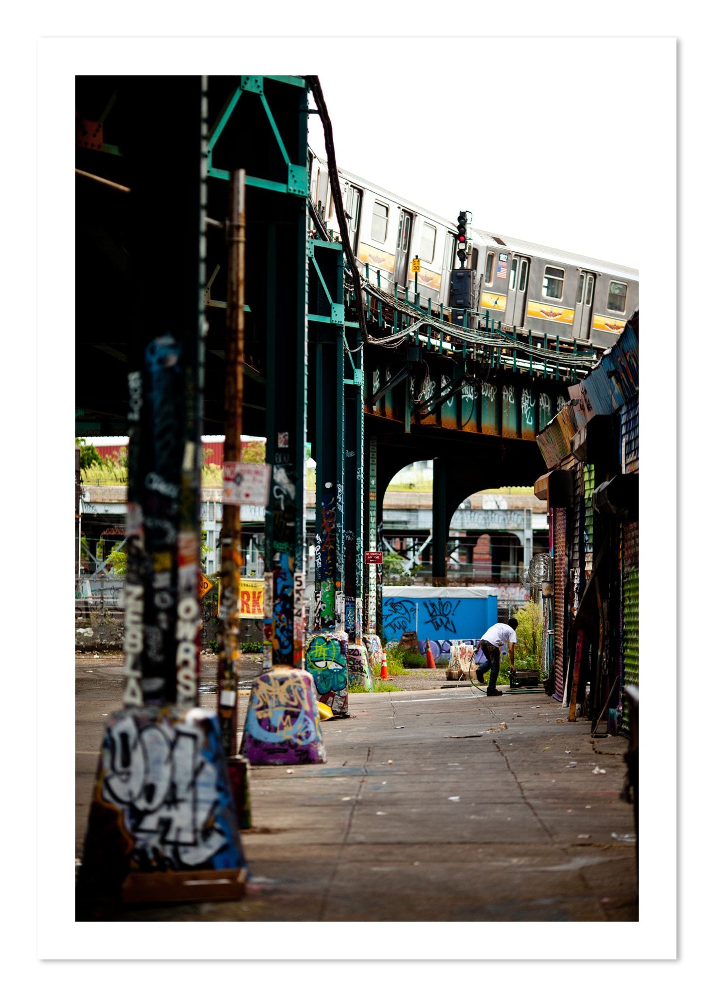 Fine art print of Queens by Dylan Ozanich, unframed