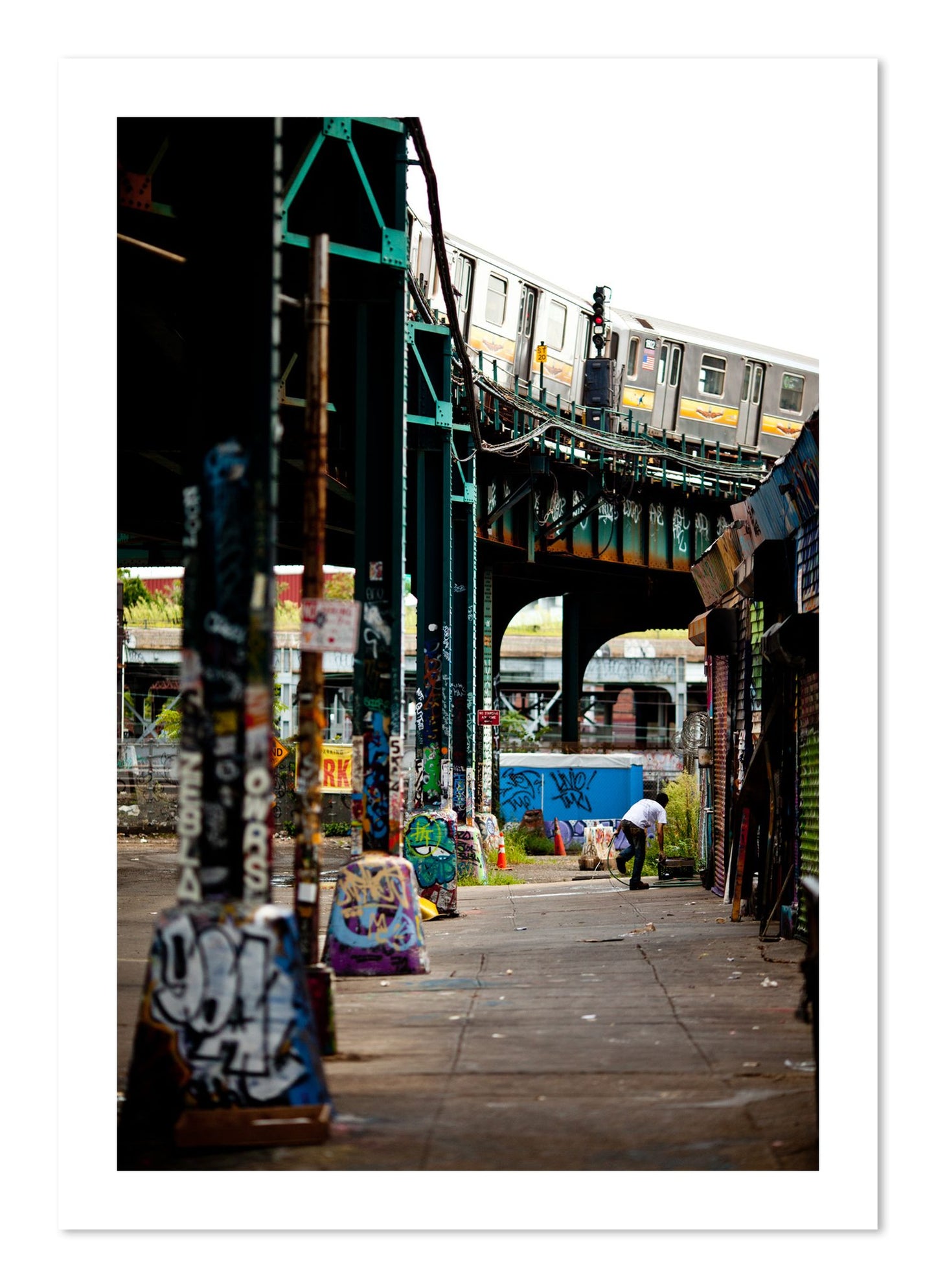 Fine art print of Queens by Dylan Ozanich, unframed