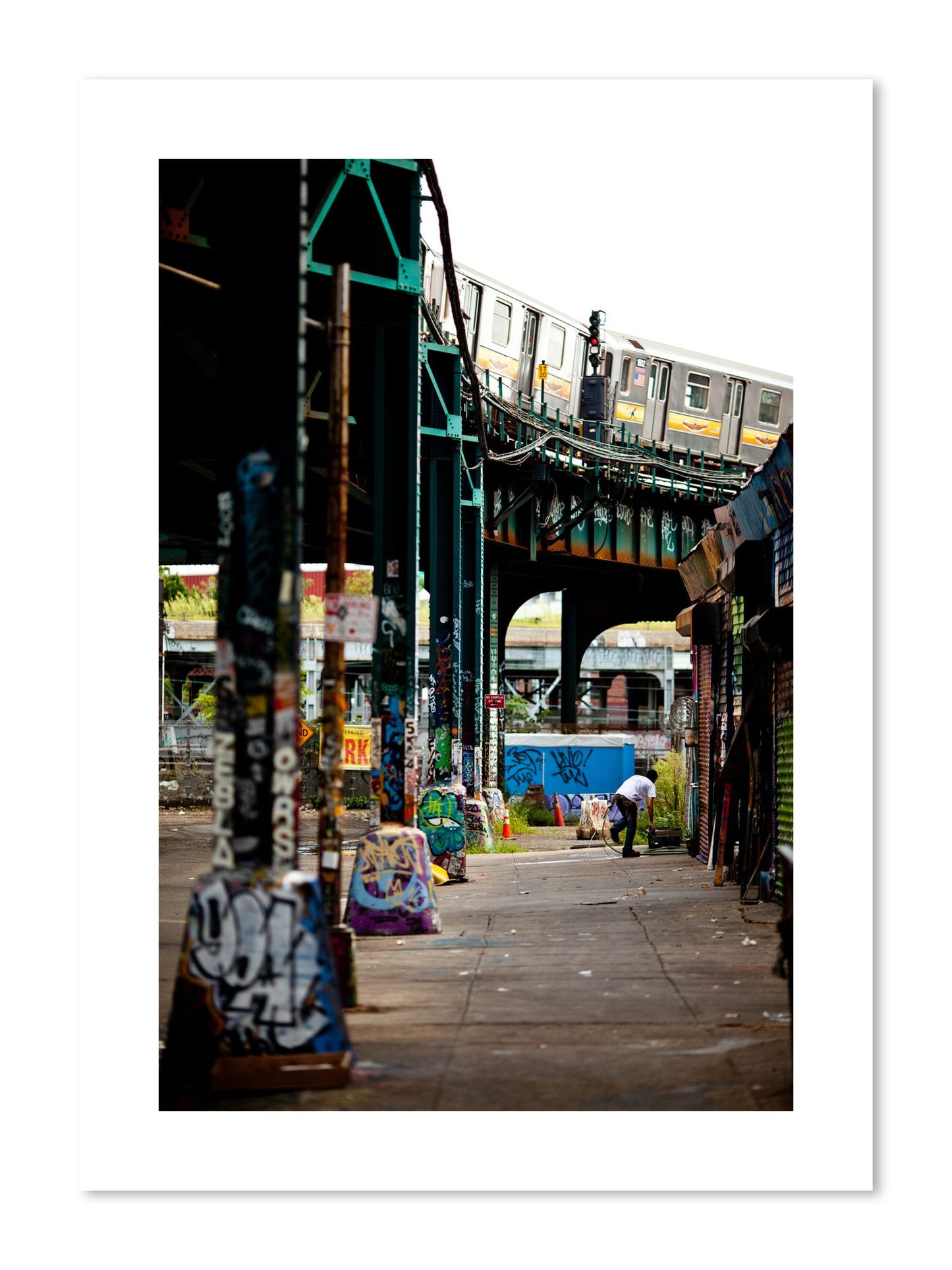 Fine art print of Queens by Dylan Ozanich, unframed