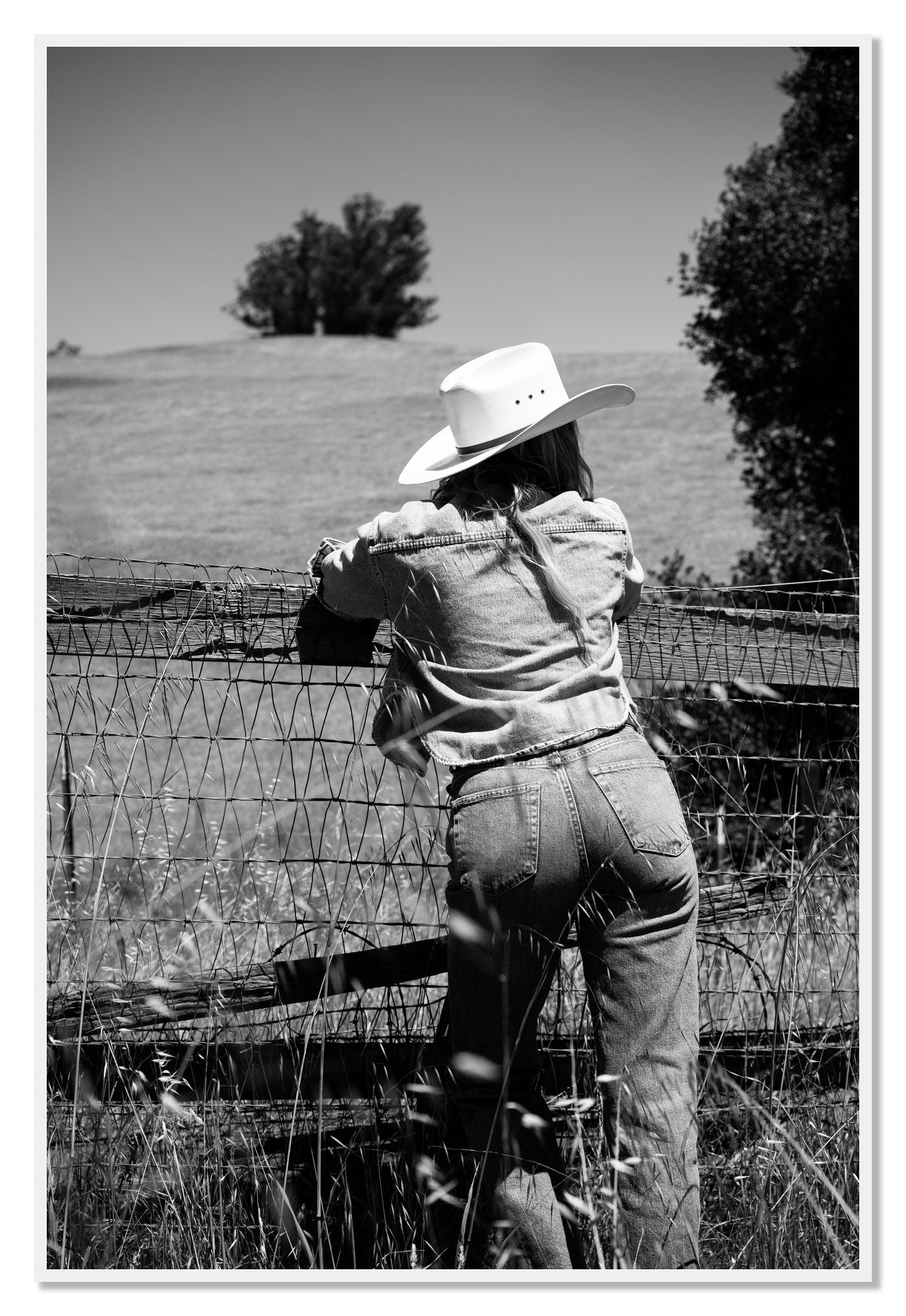Ranch Days by Dylan Ozanich, 48×72 Full Bleed Print in a White frame