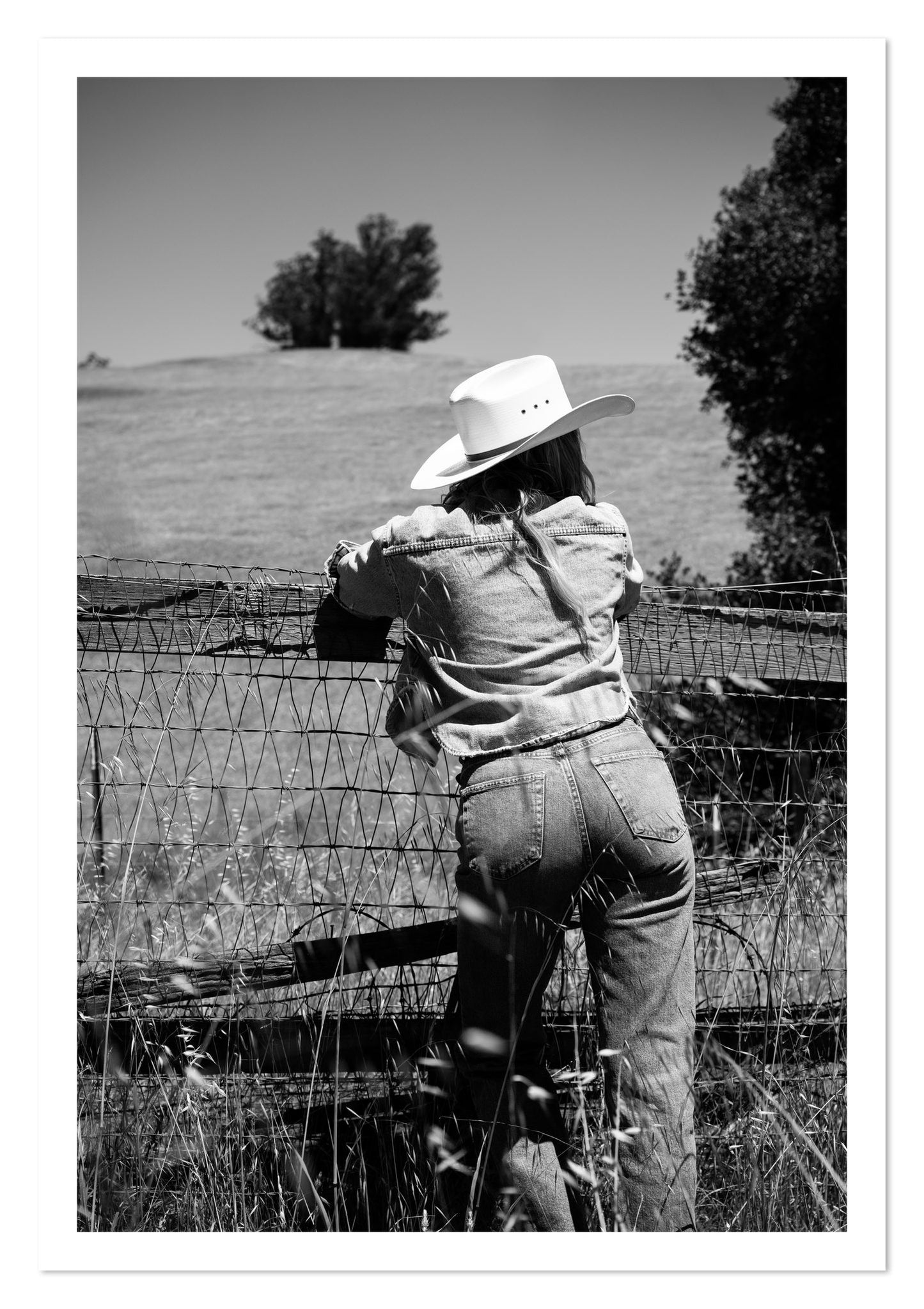 Fine art print of Ranch Days by Dylan Ozanich, unframed