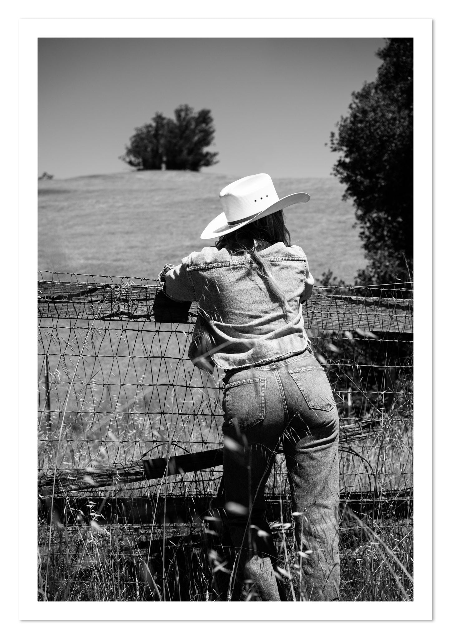 Fine art print of Ranch Days by Dylan Ozanich, unframed