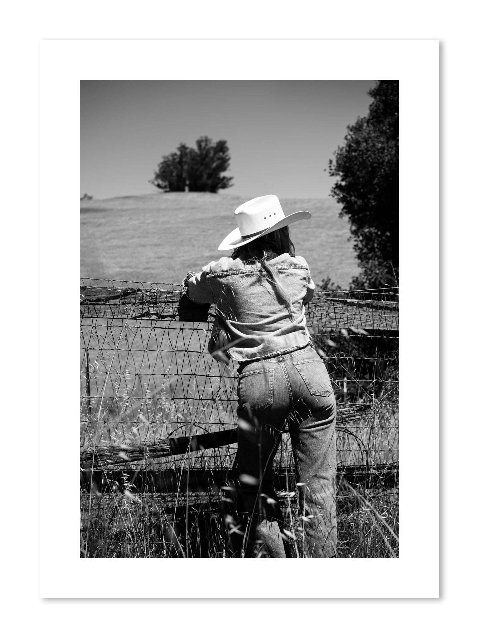 Fine art print of Ranch Days by Dylan Ozanich, unframed