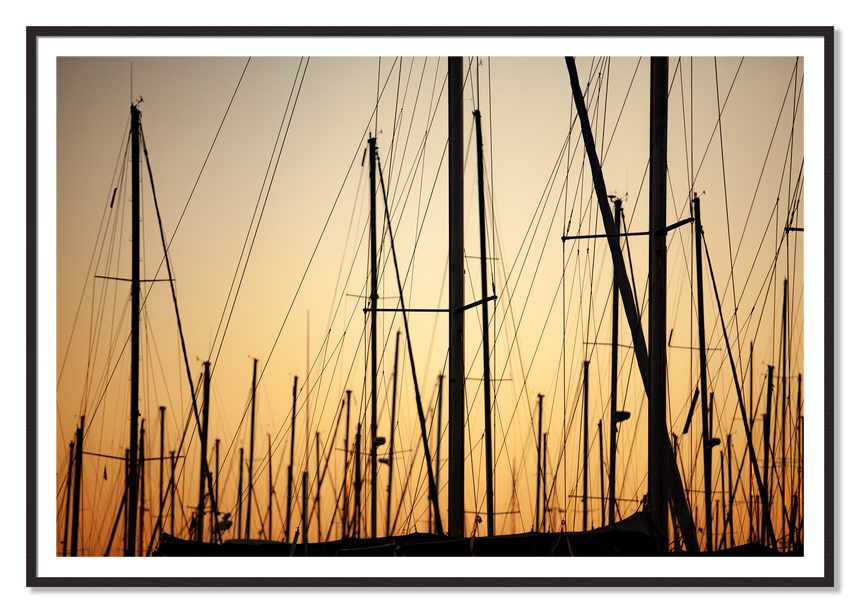Sail by Dylan Ozanich, 48×72 print with a White Border in a Black Walnut frame