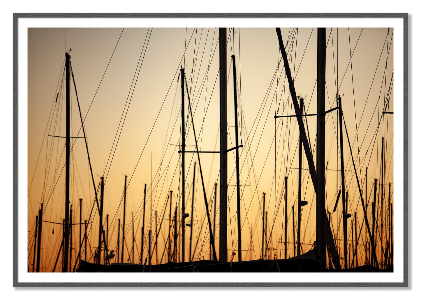 Sail by Dylan Ozanich, 48×72 print with a White Border in a Grey frame