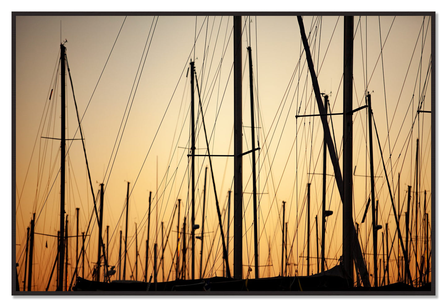 Sail by Dylan Ozanich, 48×72 Full Bleed Print in a Black Walnut frame