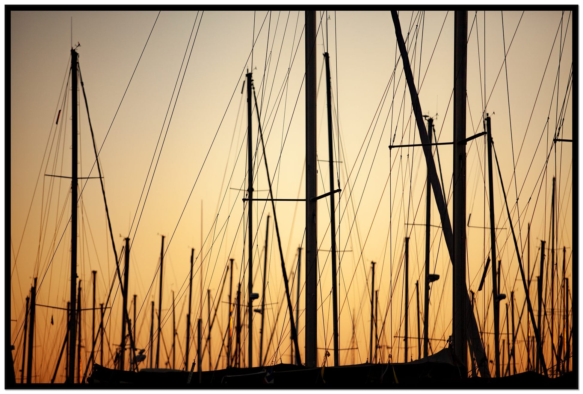 Sail by Dylan Ozanich, 48×72 Full Bleed Print in a Black frame