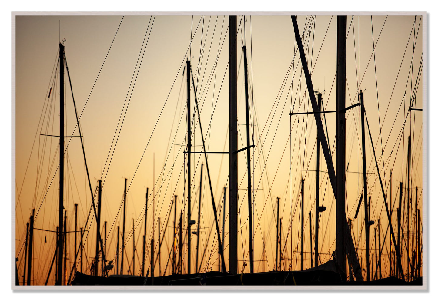 Sail by Dylan Ozanich, 48×72 Full Bleed Print in a White Maple frame