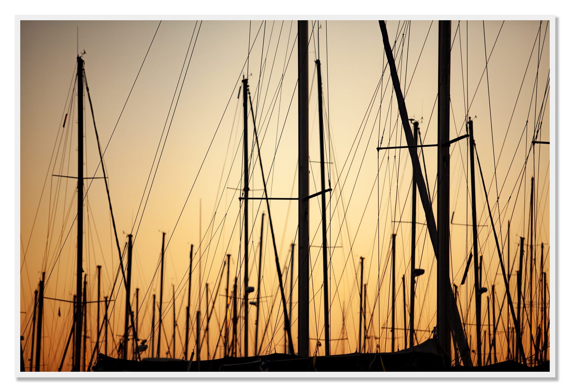 Sail by Dylan Ozanich, 48×72 Full Bleed Print in a White frame