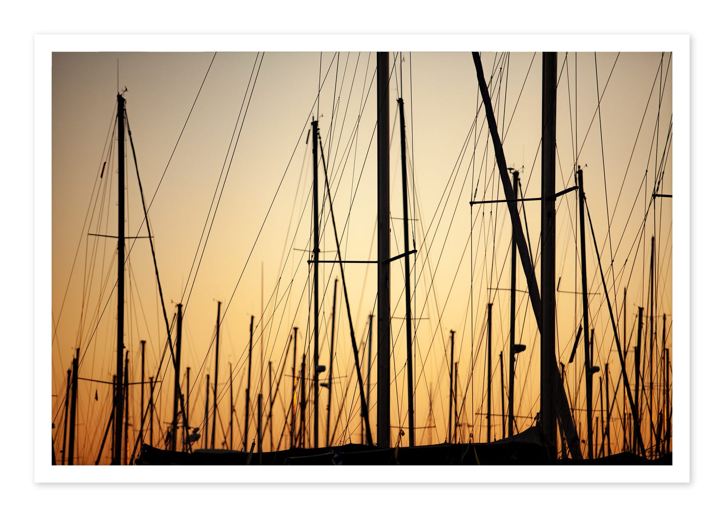Sail by Dylan Ozanich, 48×72 Fine Art Pigment Print on Hahnemühle Cotton Rag Paper, unframed
