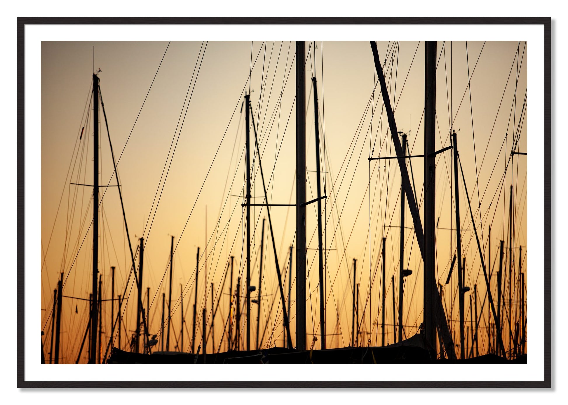 Framed photograph of Sail by Dylan Ozanich, Black Walnut frame, Borders
