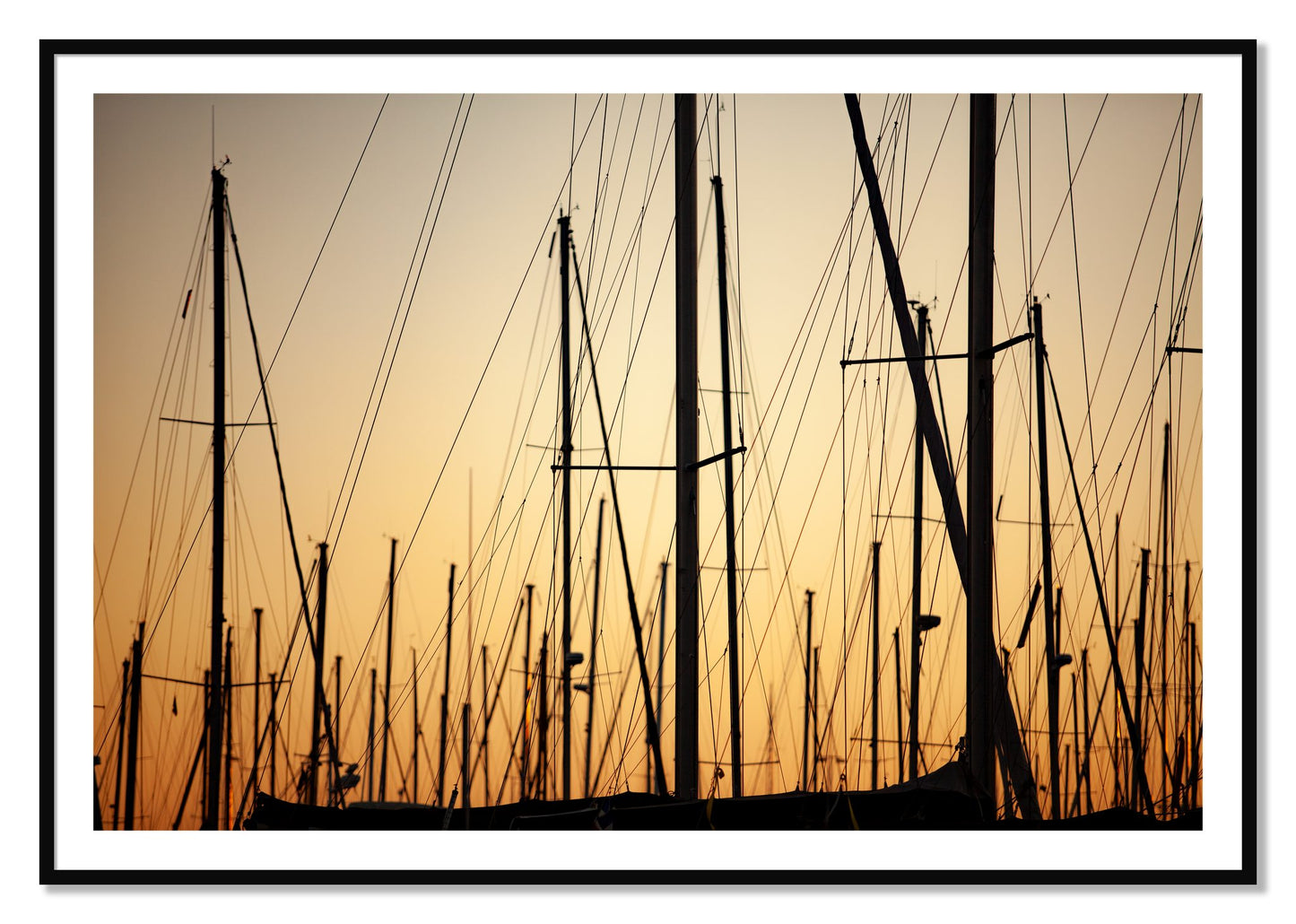 Framed photograph of Sail by Dylan Ozanich, Black frame, Borders
