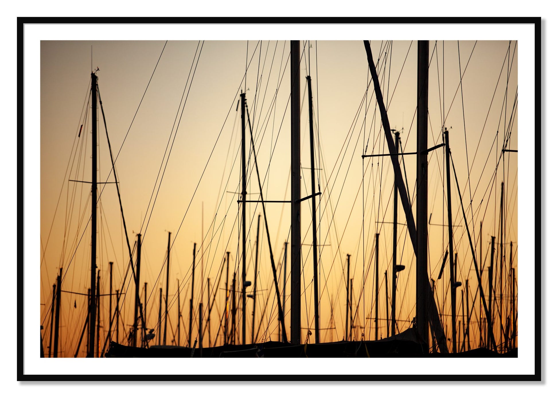 Framed photograph of Sail by Dylan Ozanich, Black frame, Borders