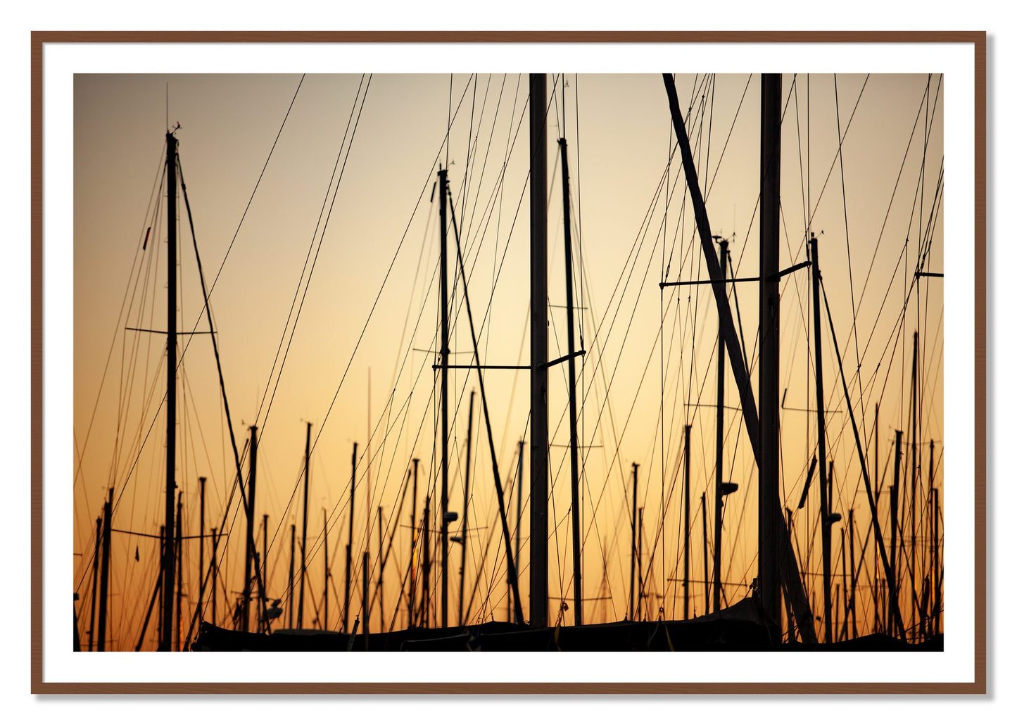Framed photograph of Sail by Dylan Ozanich, Walnut frame, Borders