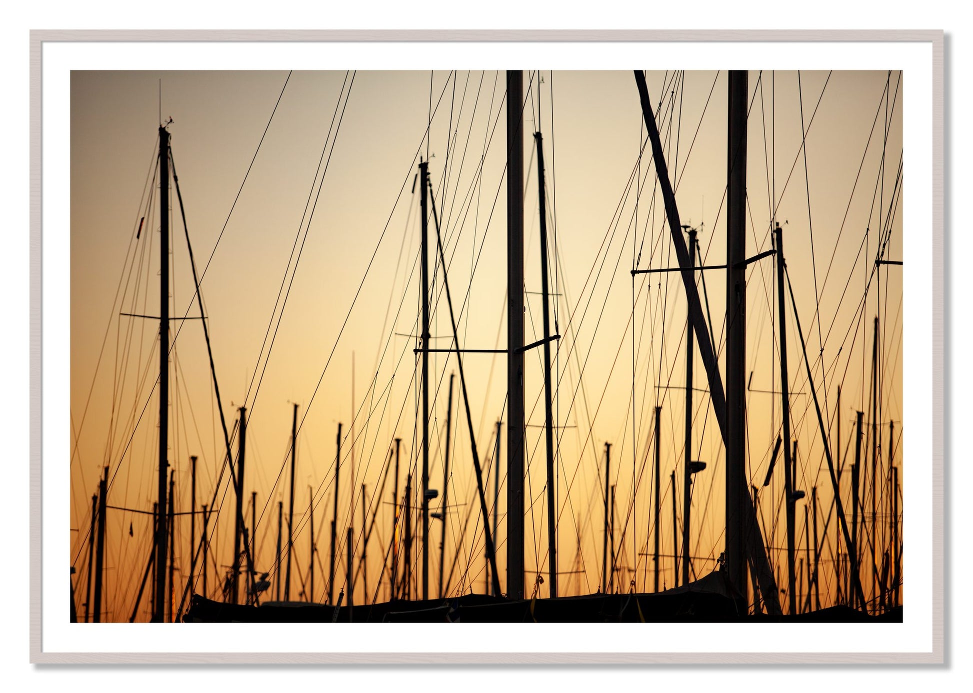 Framed photograph of Sail by Dylan Ozanich, White Maple frame, Borders