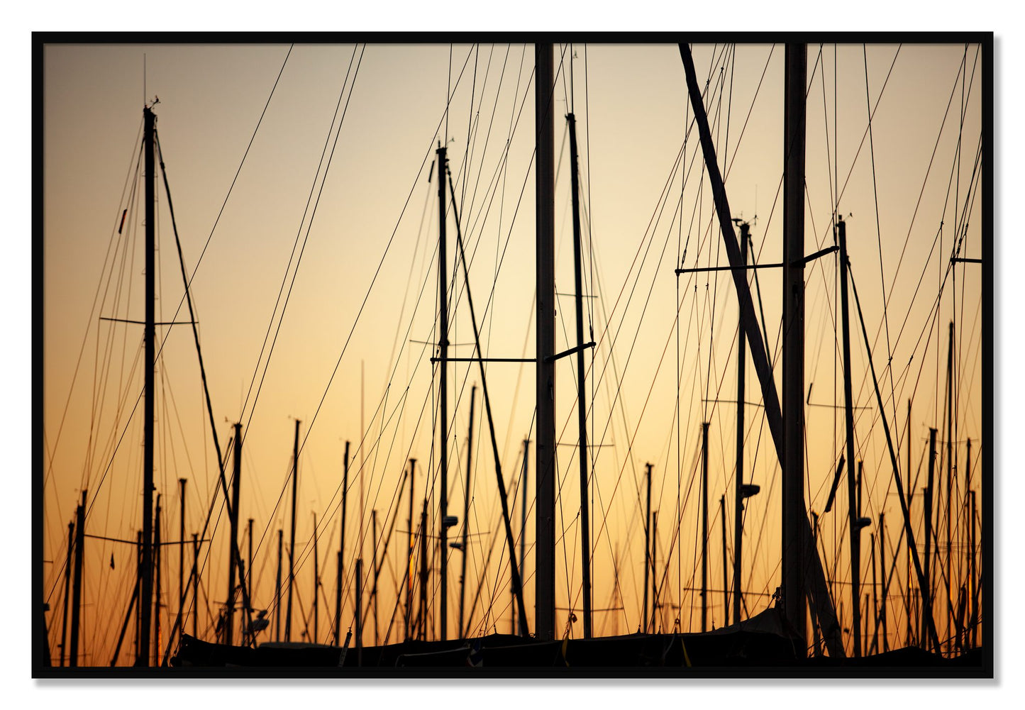 Framed photograph of Sail by Dylan Ozanich, Black frame, Full Bleed