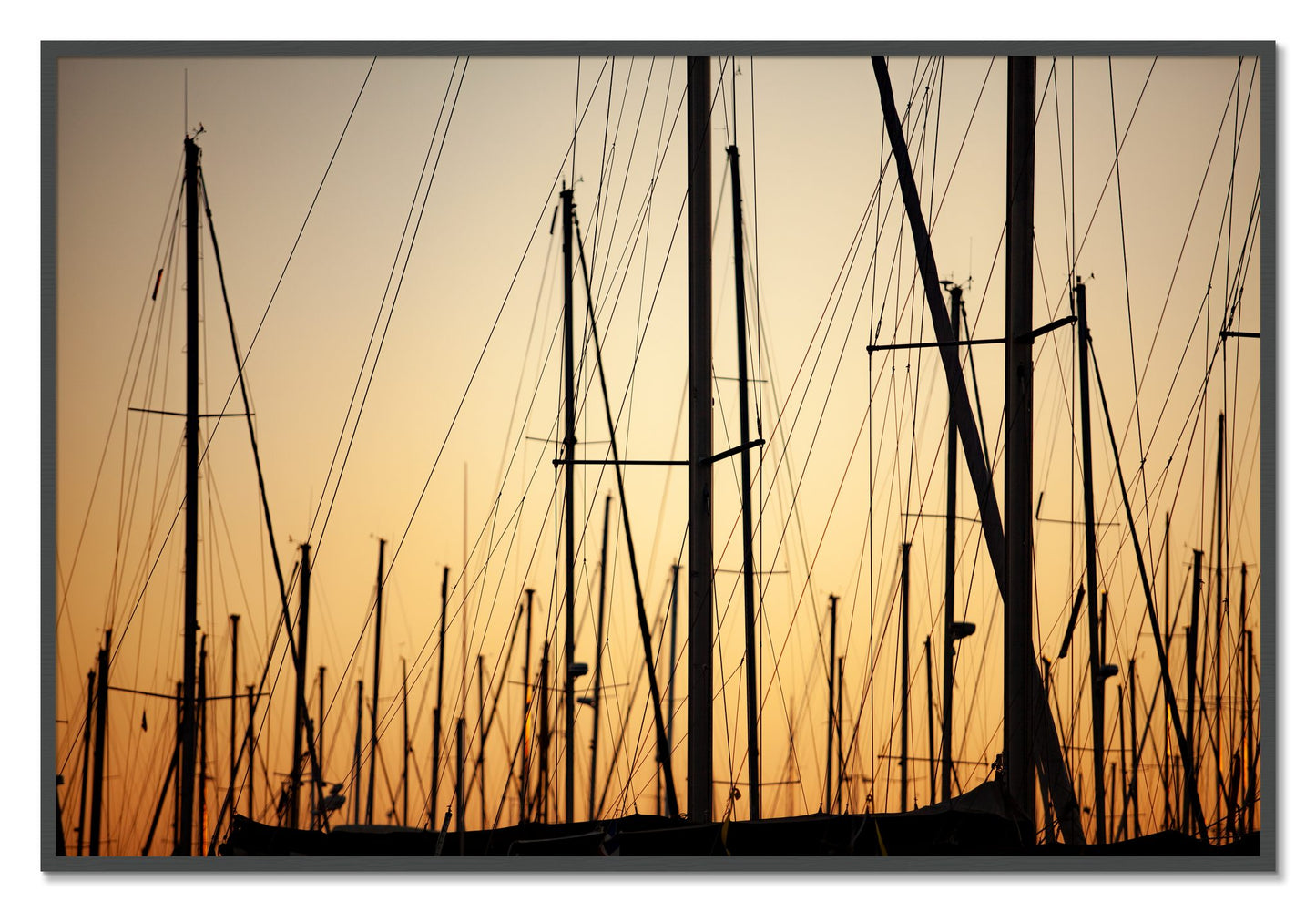 Framed photograph of Sail by Dylan Ozanich, Grey frame, Full Bleed