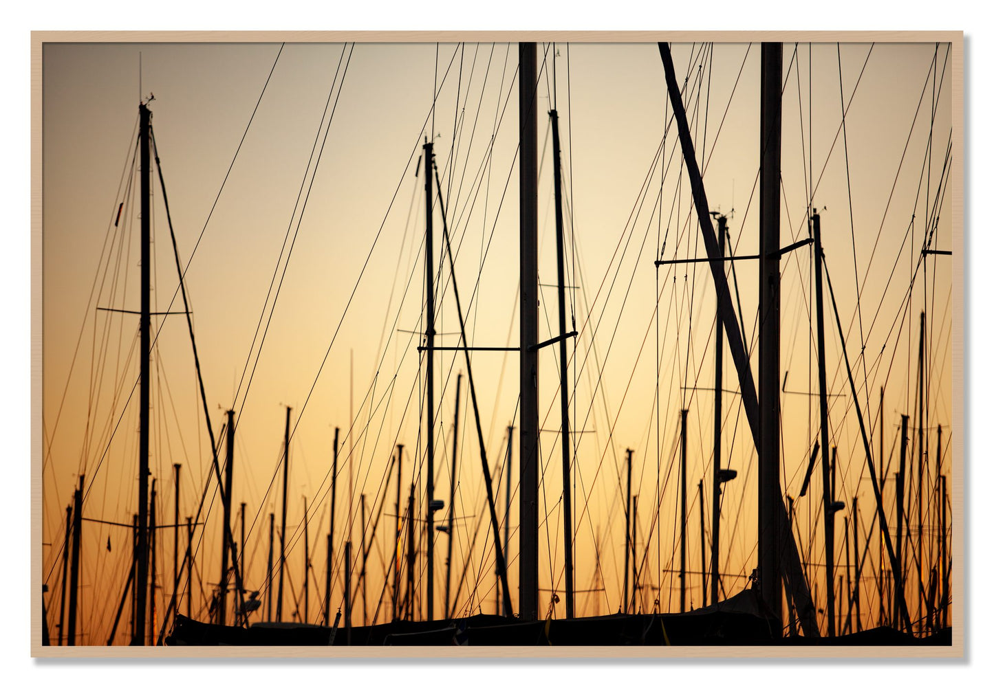 Framed photograph of Sail by Dylan Ozanich, Oak frame, Full Bleed