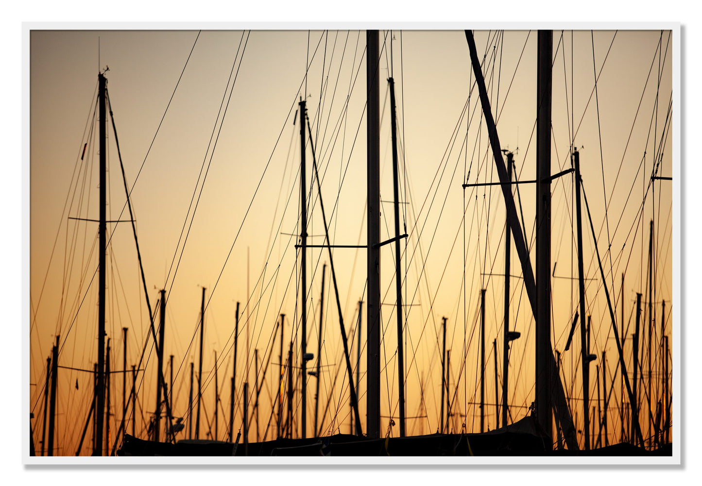 Framed photograph of Sail by Dylan Ozanich, White frame, Full Bleed