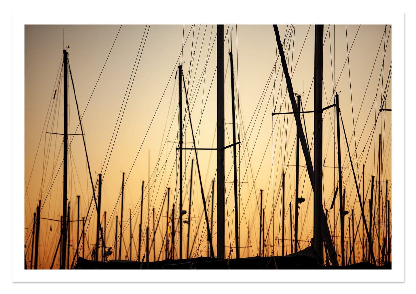 Fine art print of Sail by Dylan Ozanich, unframed