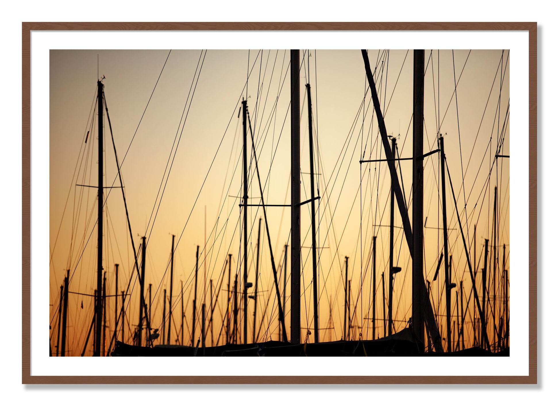 Framed photograph of Sail by Dylan Ozanich, Walnut frame, Borders