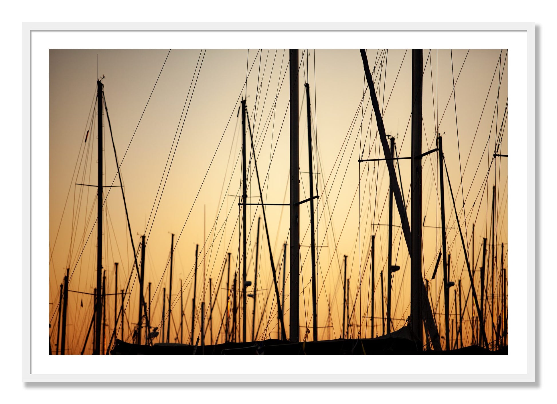 Framed photograph of Sail by Dylan Ozanich, White frame, Borders
