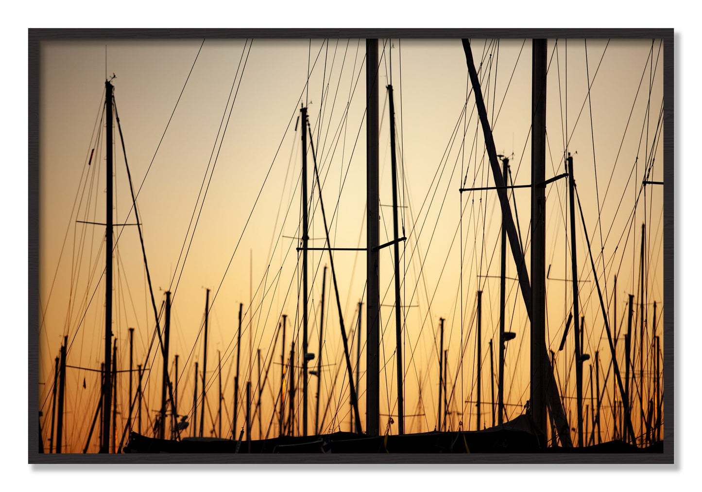 Framed photograph of Sail by Dylan Ozanich, Black Walnut frame, Full Bleed