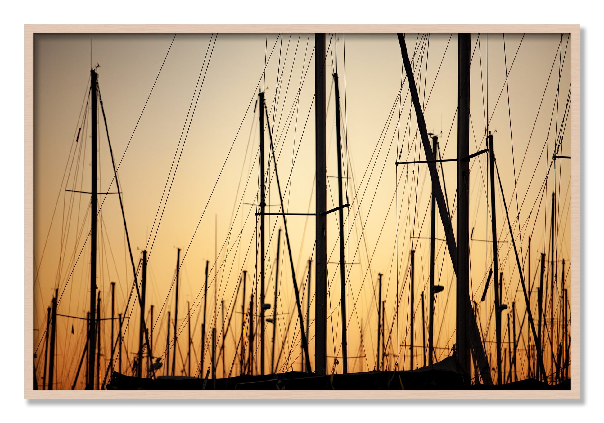 Framed photograph of Sail by Dylan Ozanich, Maple frame, Full Bleed