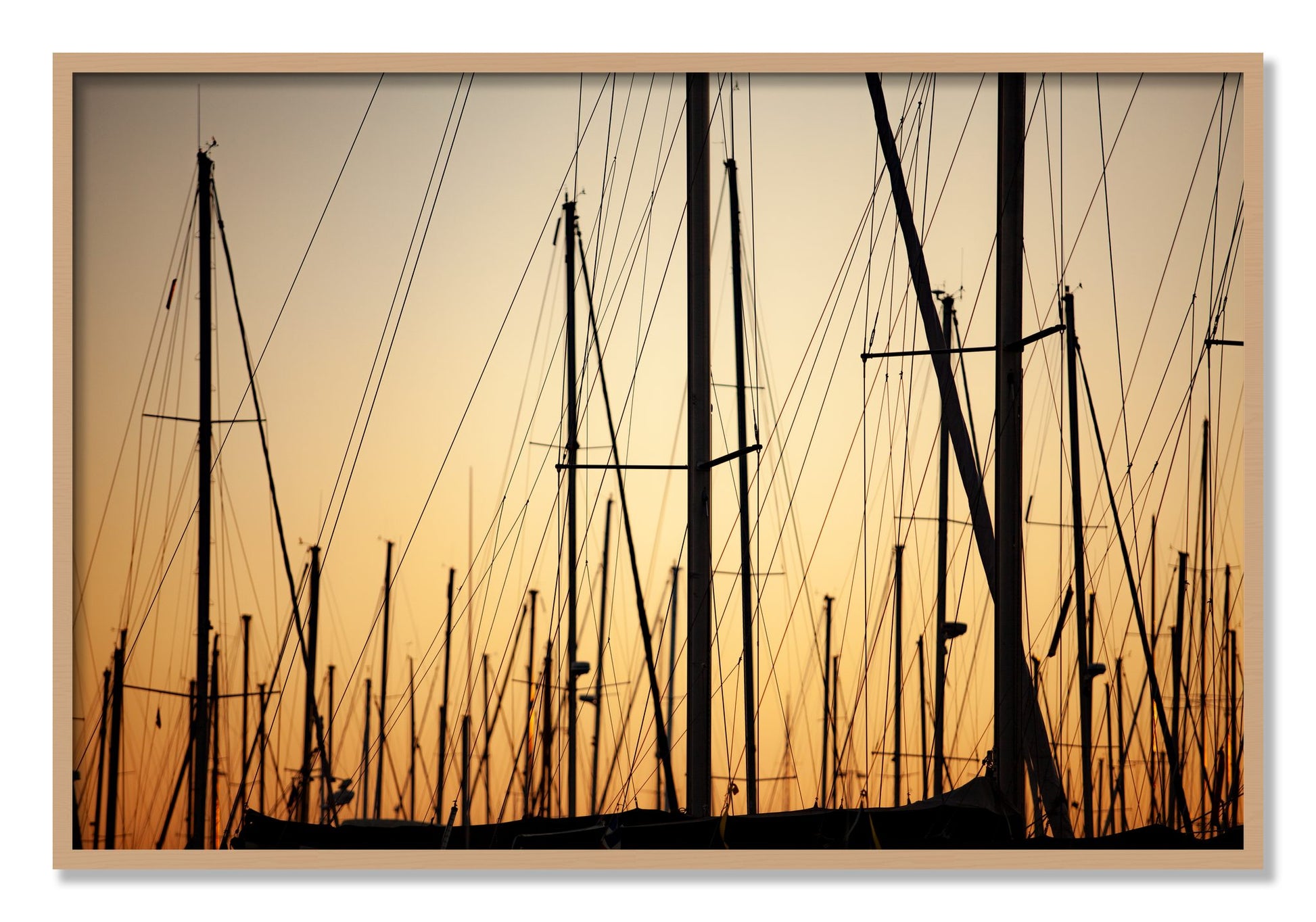 Framed photograph of Sail by Dylan Ozanich, Oak frame, Full Bleed