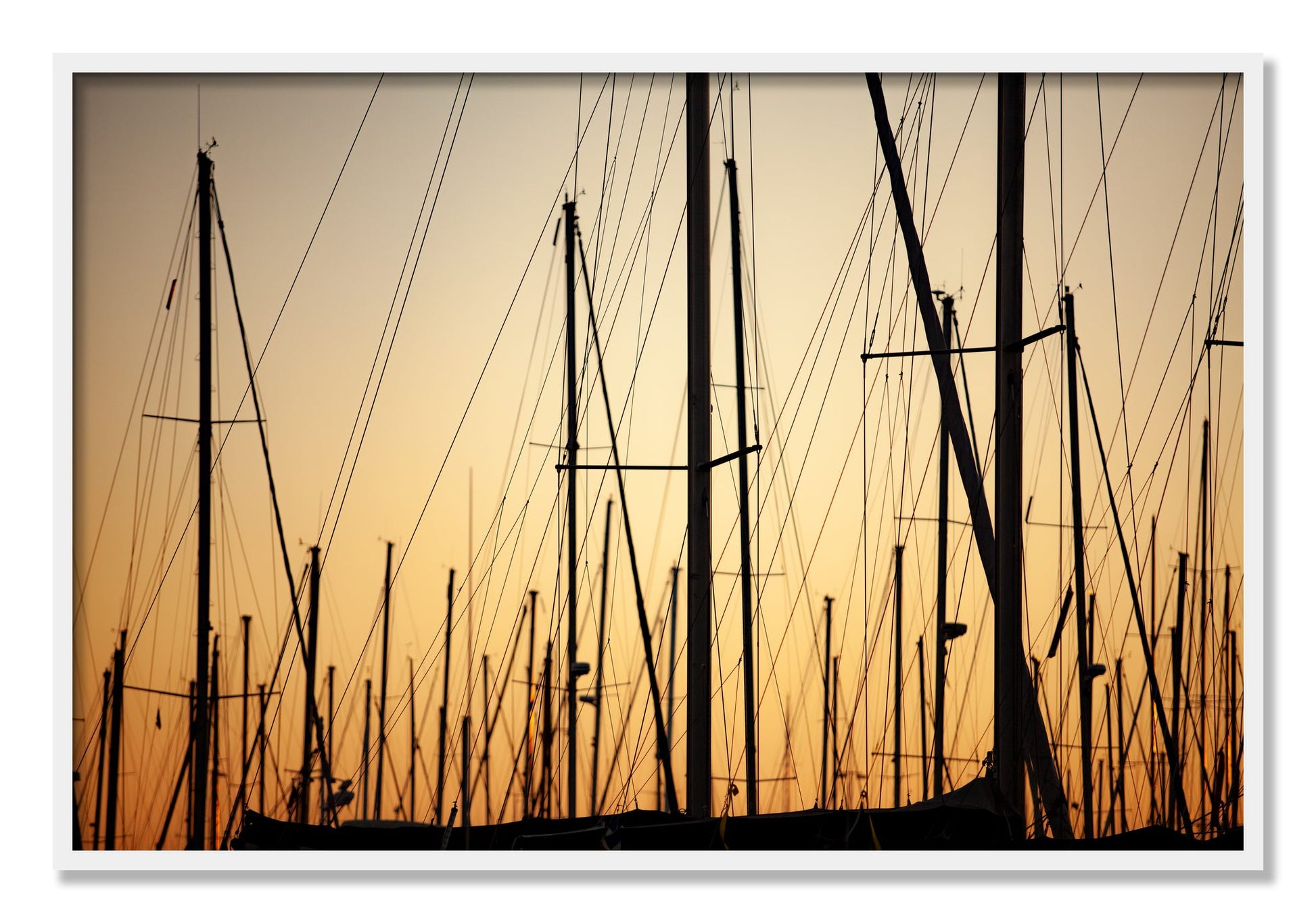 Framed photograph of Sail by Dylan Ozanich, White frame, Full Bleed
