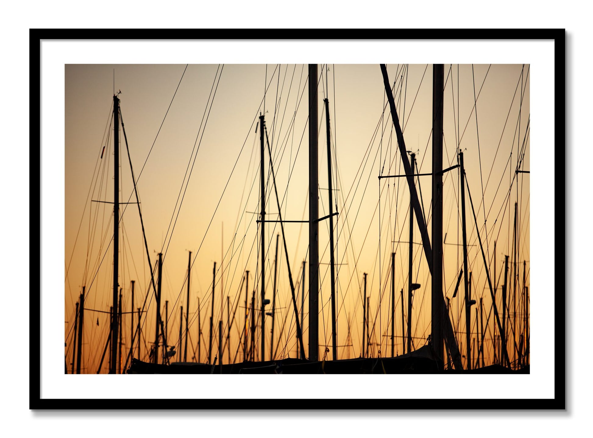 Framed photograph of Sail by Dylan Ozanich, Black frame, Borders