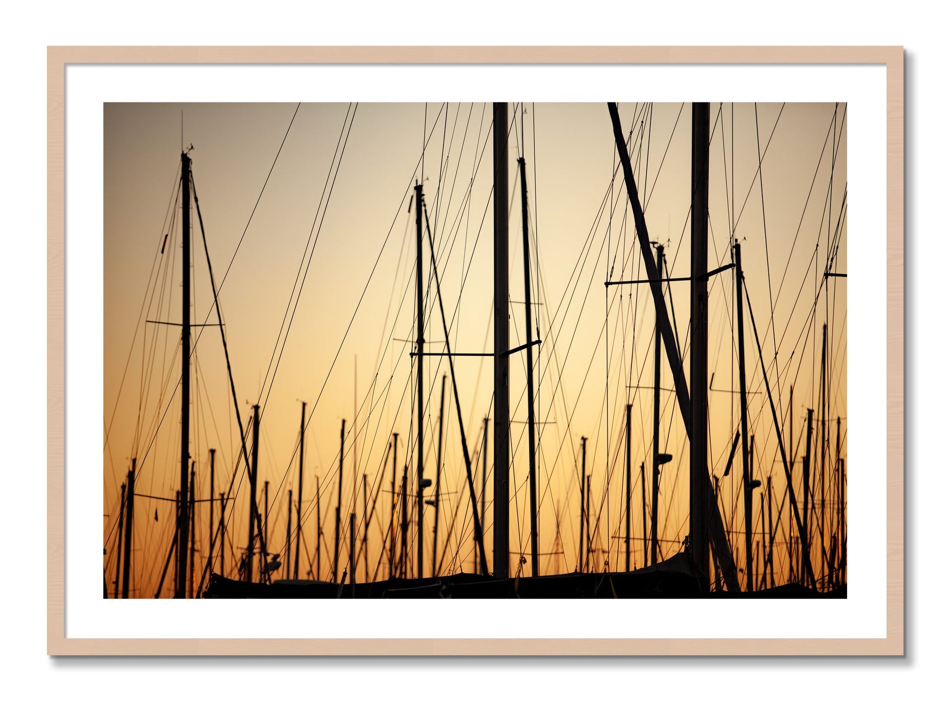 Framed photograph of Sail by Dylan Ozanich, Maple frame, Borders
