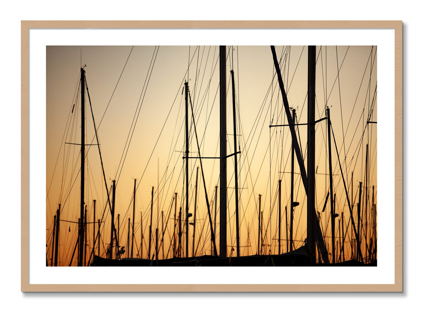 Framed photograph of Sail by Dylan Ozanich, Oak frame, Borders
