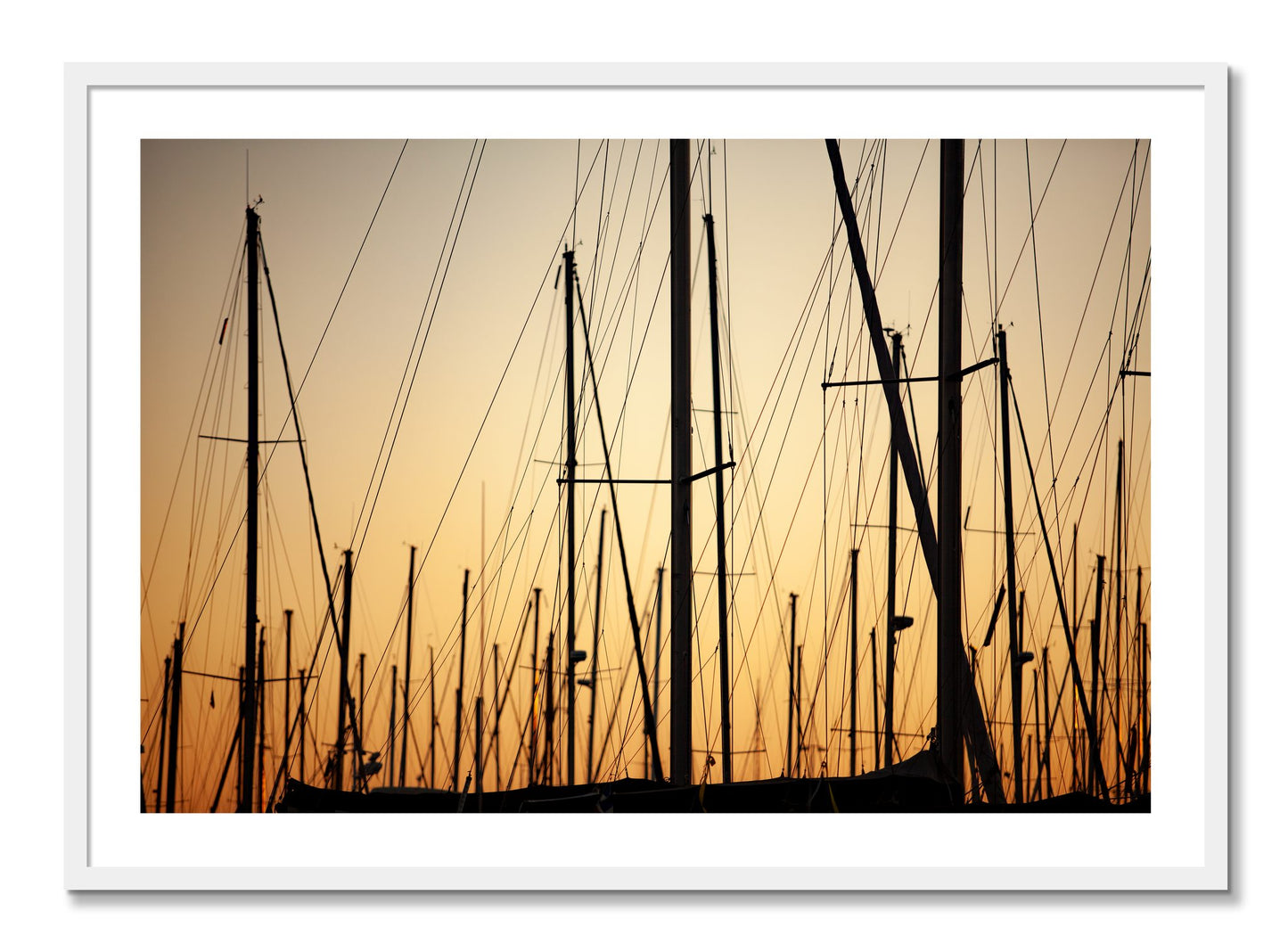 Framed photograph of Sail by Dylan Ozanich, White frame, Borders