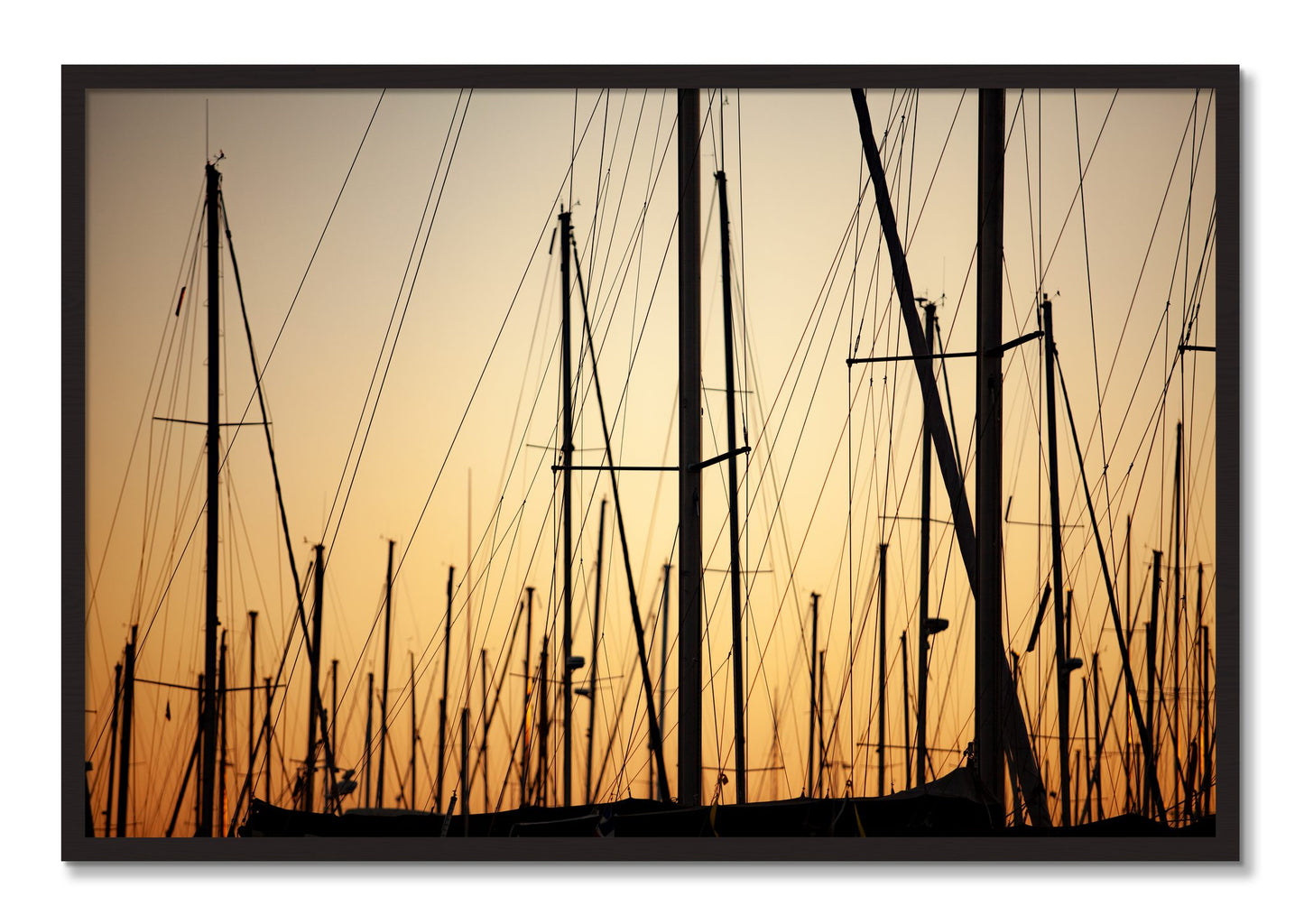 Framed photograph of Sail by Dylan Ozanich, Black Walnut frame, Full Bleed