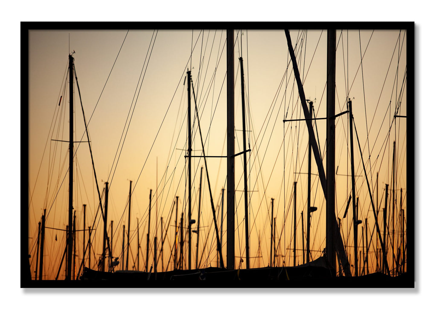 Framed photograph of Sail by Dylan Ozanich, Black frame, Full Bleed