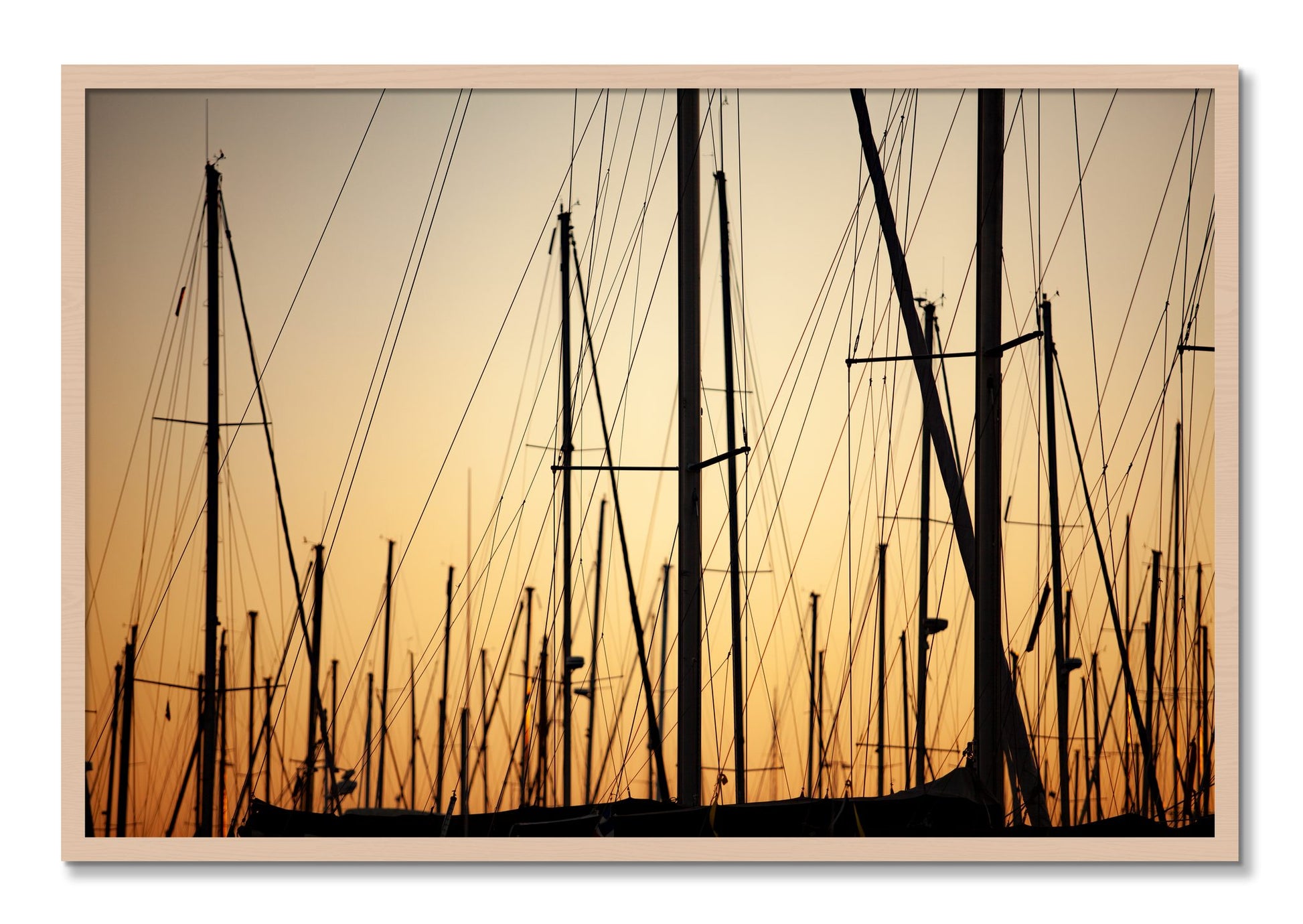 Framed photograph of Sail by Dylan Ozanich, Maple frame, Full Bleed