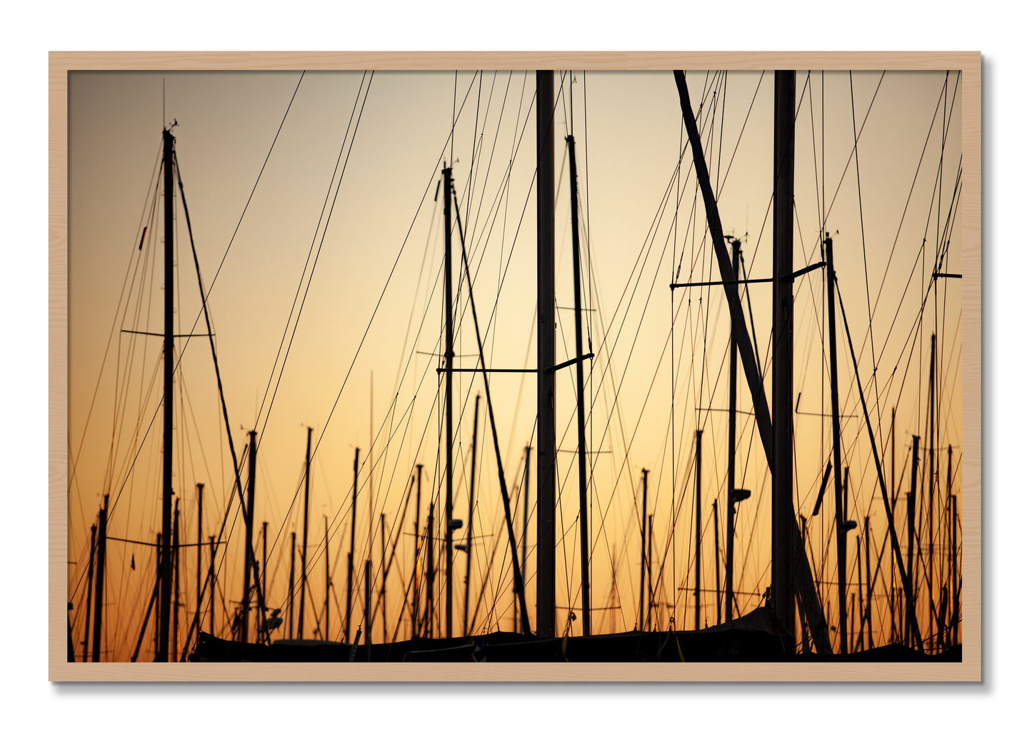 Framed photograph of Sail by Dylan Ozanich, Oak frame, Full Bleed