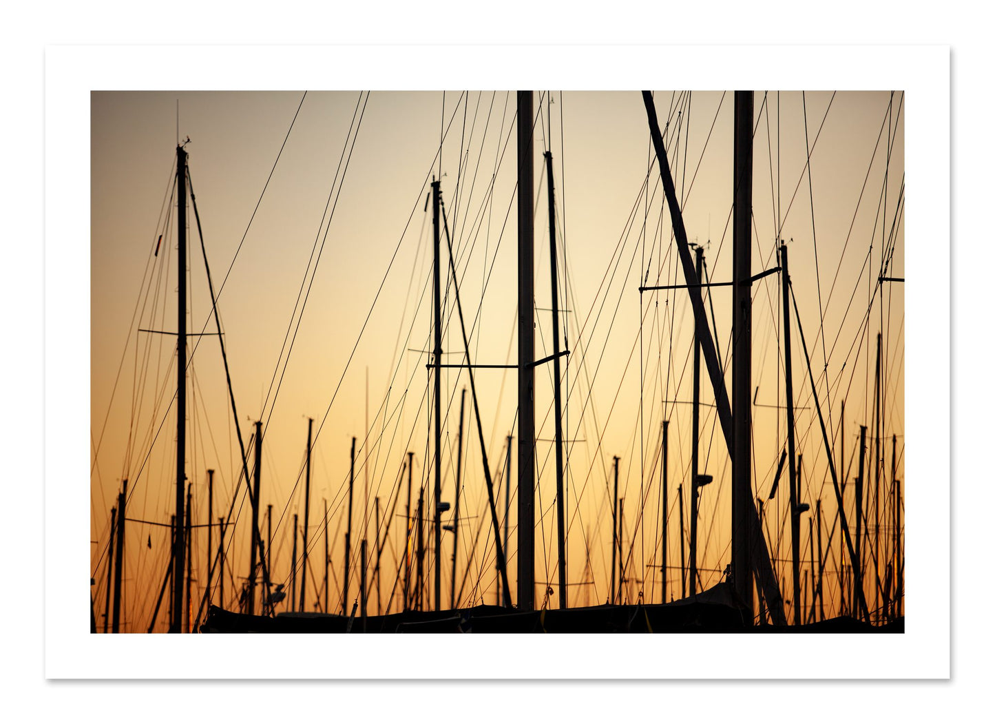 Fine art print of Sail by Dylan Ozanich, unframed