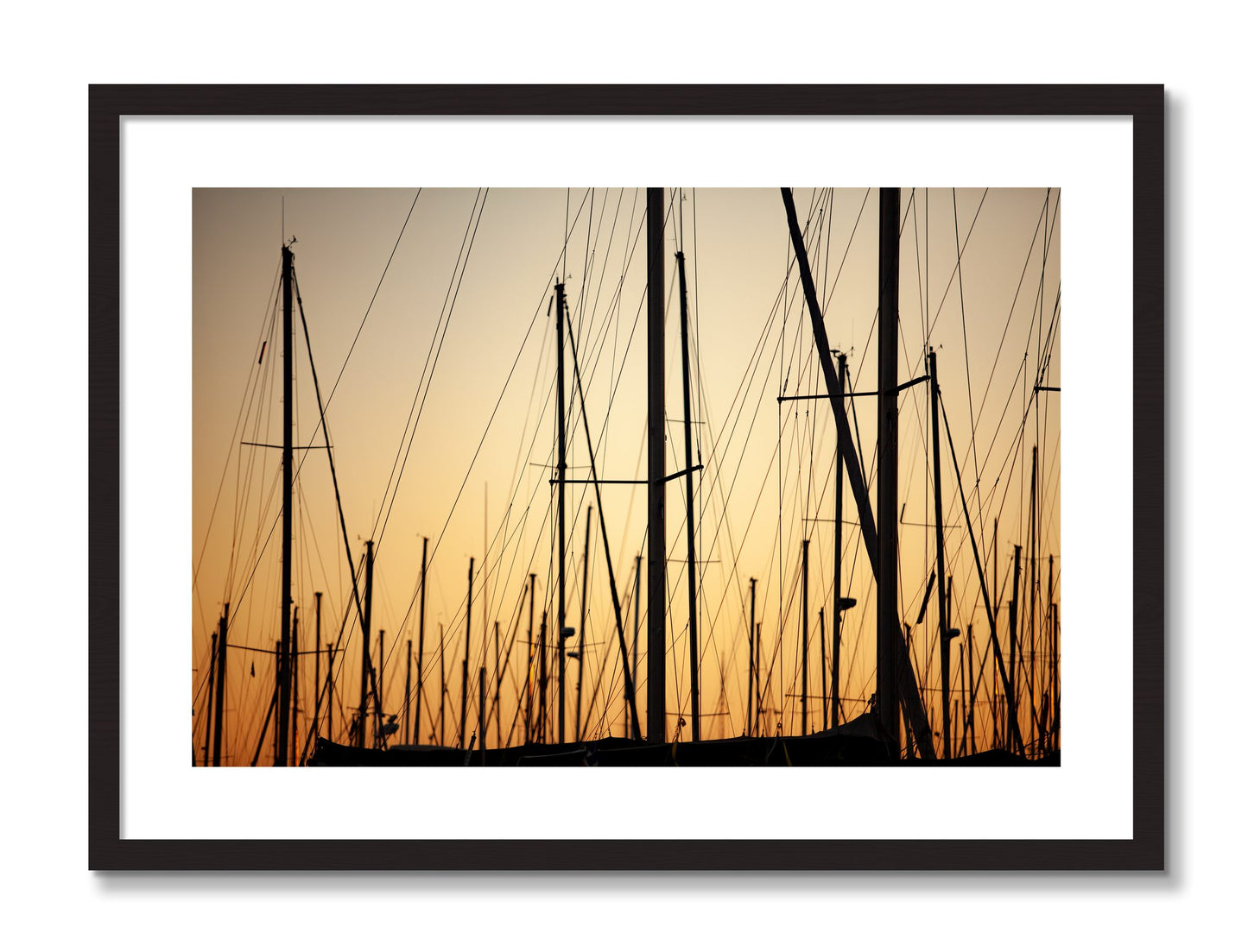 Framed photograph of Sail by Dylan Ozanich, Black frame, Borders