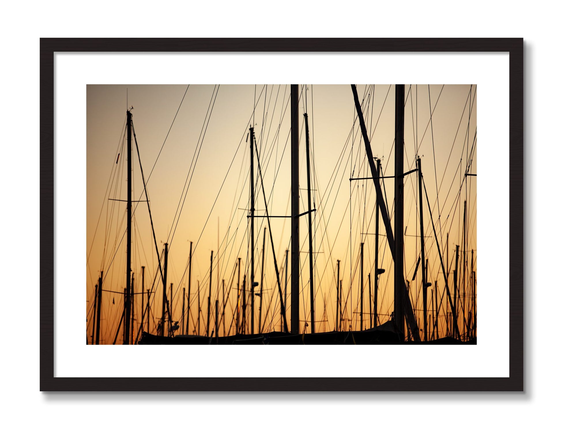 Framed photograph of Sail by Dylan Ozanich, Black frame, Borders