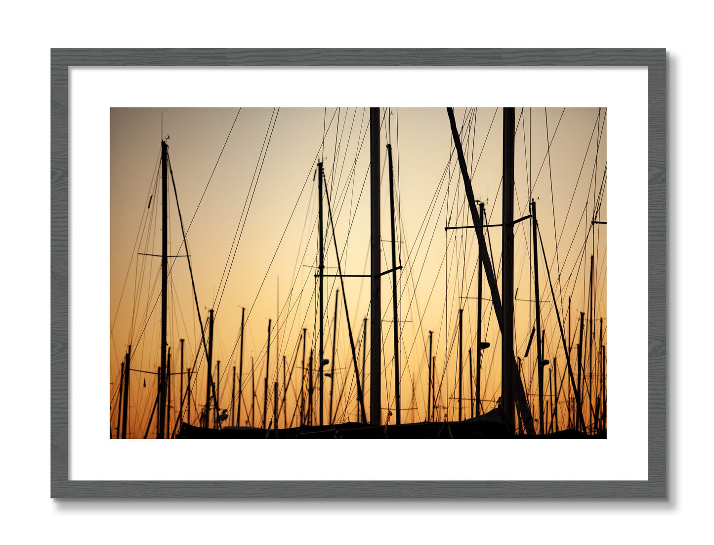 Framed photograph of Sail by Dylan Ozanich, Grey frame, Borders