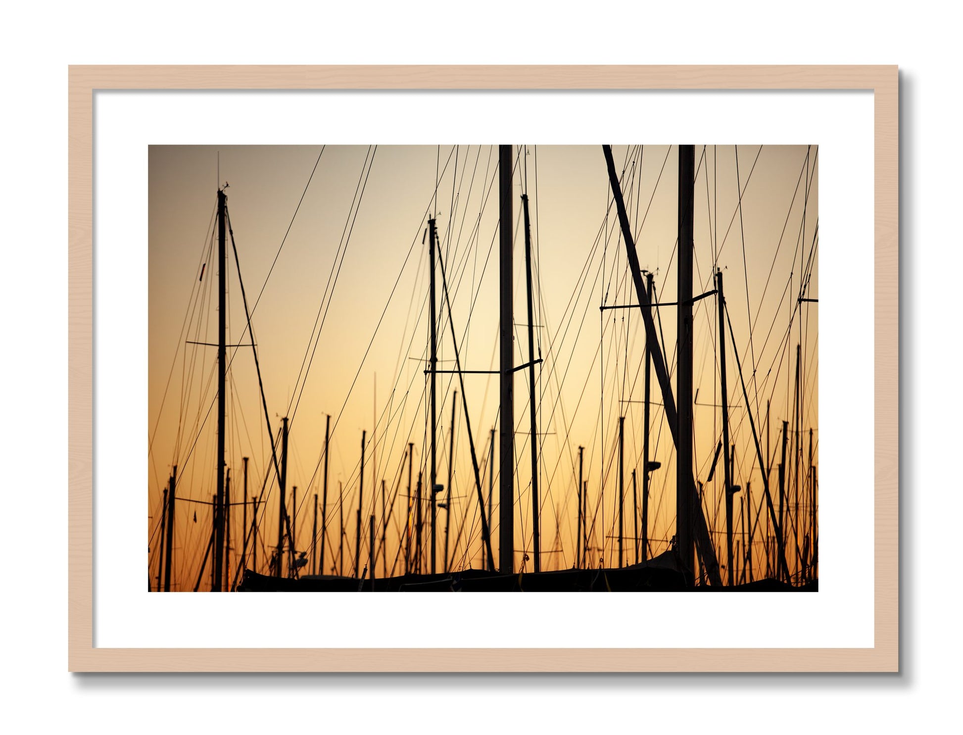 Framed photograph of Sail by Dylan Ozanich, Maple frame, Borders