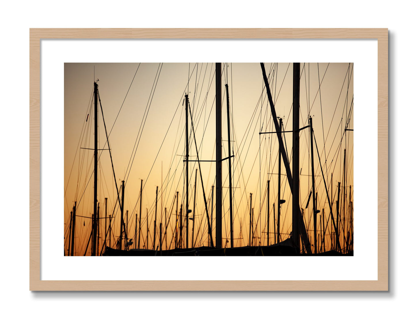 Framed photograph of Sail by Dylan Ozanich, Oak frame, Borders