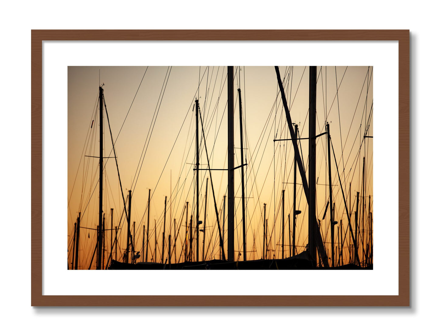 Framed photograph of Sail by Dylan Ozanich, Walnut frame, Borders